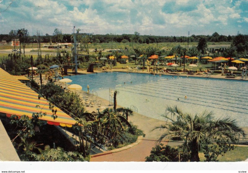 HOUSTON , Texas , 1950-60s ; Shamrock Hotel Swimming Pool