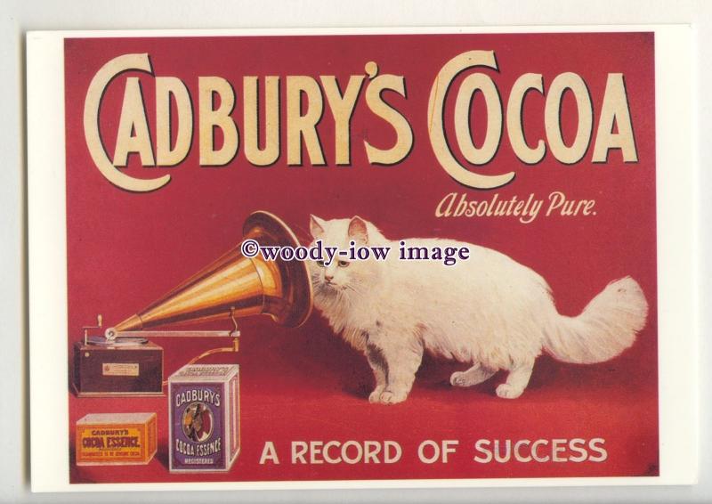 ad0948 - Cadbury's Cocoa, Cat listens to Record Player - Modern Advert Postcard