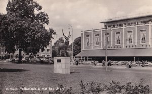 Arnhem Willemsplein Deer Antler Stag Real Photo WW1 Dutch Postcard