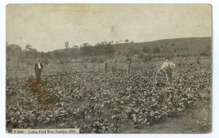 D/B of Cotton Fields near Sapula Oklahoma OK