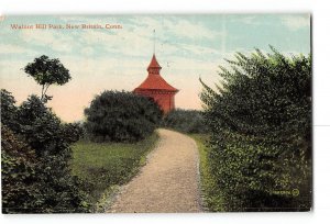New Britain Connecticut CT Postcard 1910 Walnut Hill Park