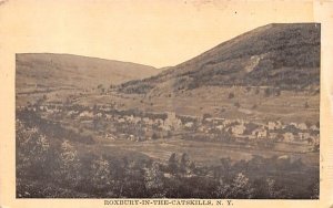 Bird's Eye View Roxbury, New York  