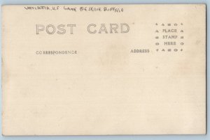 c1910's Game Preserve Animals Buffalo Wichita Kansas KS RPPC Photo Postcard