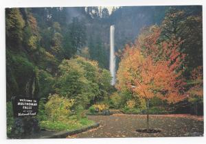 Mt Hood National Park OR Multnomah Falls Postcard 4X6 Oregon
