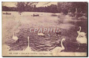 Lyon Postcard Old Park Tete d & # 39or Swans (Swan)