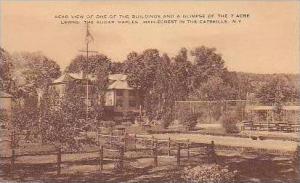 New York Maplecrest In The Catskill Rear View Of One Of The Buildings The Sug...