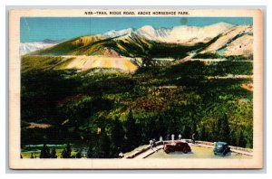 Trail Ridge Road Rocky Mountain National Park CO Linen Postcard N21