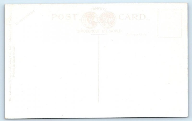 Nature Study High Park TORONTO Ont. CANADA Postcard