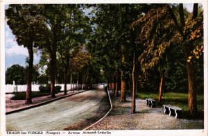 CPA THAON-les-VOSGES - Avenue Armand-Lederlin (657368)