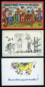 3 Comic Variety Postcards  Funny bunch