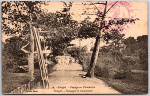 Senegal Paysage En Casamanse West Africa Pathway Through the Forest Postcard