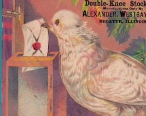 1880s Alexander, Westbay & Co. Fargo Dakota Territory Double Knee Stockings 3H