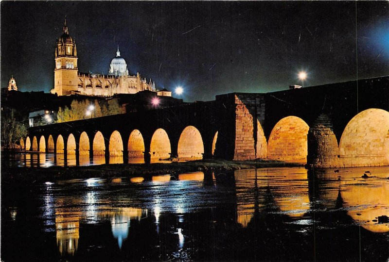 BT16679 Salamanca catedral y puente romano  spain