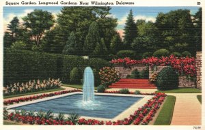 Vintage Postcard Square Garden Longwood Gardens Fountain Wilmington Delaware DE