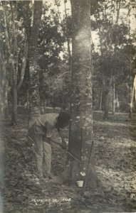 PC CPA SINGAPORE, RUBBER TAPPING, Vintage REAL PHOTO Postcard (b24932)