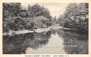 Nature's Mirror - Saint Josephs, New York