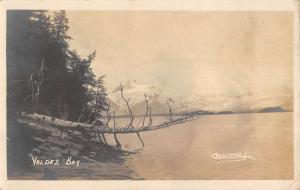 Valdez Bay Alaska Scenic River View Real Photo Antique Postcard K20228