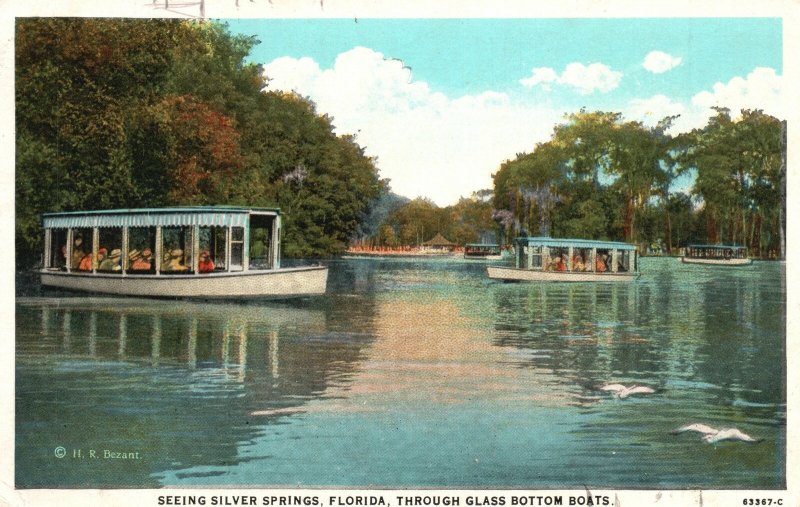 Vintage Postcard 1920's Glass Bottom Boats Seeing Silver Springs Florida FL