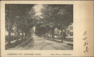 Gardner MA Chestnut St. c1905 Postcard