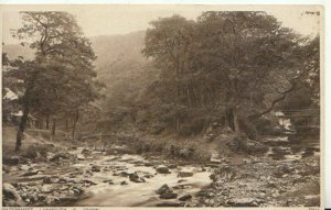 Devon Postcard - Watersmeet - Lynmouth - Photochrom Co Ltd - TZ11106