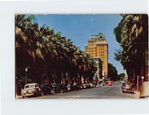 Postcard Palm-Lined Street In Sacramento, California