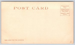 Washington DC~Congress Library~Stair Hall~Columns~Detroit Pub Co c1905 Postcard