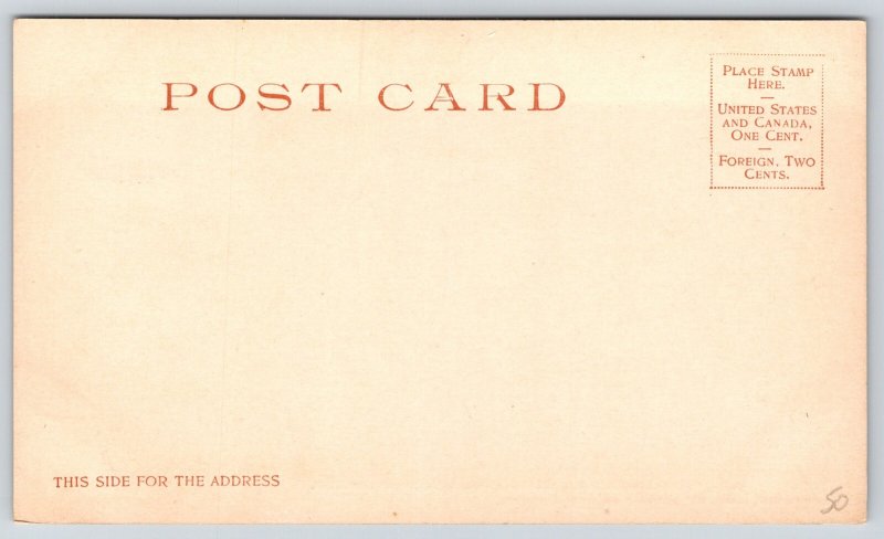 Washington DC~Congress Library~Stair Hall~Columns~Detroit Pub Co c1905 Postcard