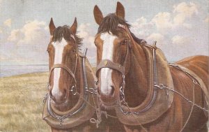 Two  Cart Horses Nice old vintage English postcard