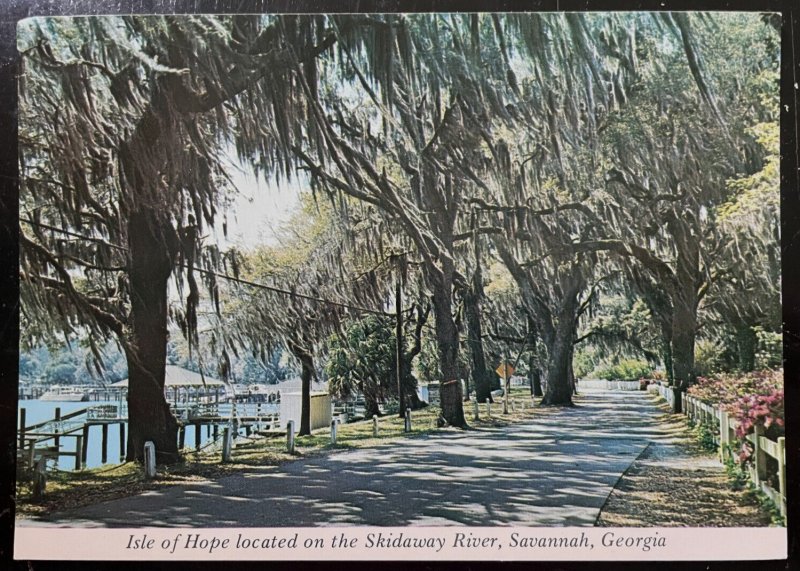 Vintage Postcard 1960's Isle of Hope, Skidaway River, Savannah, Georgia (GA)