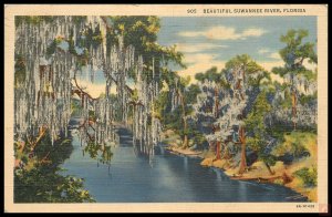 Beautiful Suwannee River, Florida