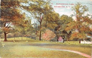 Maplewood Park Rochester, New York