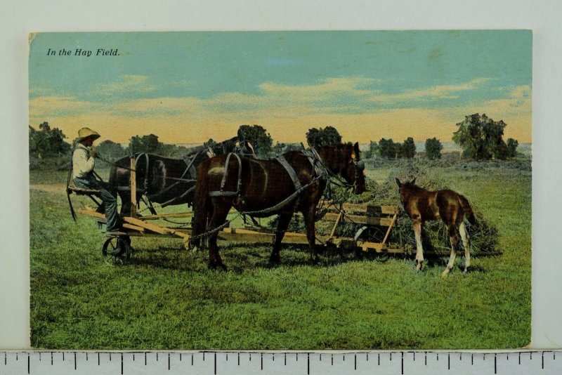 Circa 1910 In the Hay Field Vintage Postcard P55