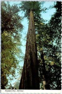 Postcard - Founders Tree, Redwood Highway - Weott, California