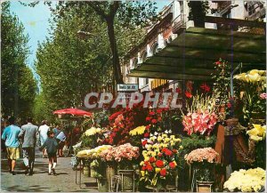 Postcard Modern Barcelona Rambla of the flowers