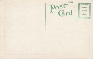 Royal Arch Oak FL, Florida - WB