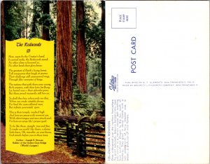 The Redwoods (15045