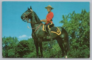 Animal~The Royal Canadian Mounted Police IN Canada Statue~Vintage Postcard