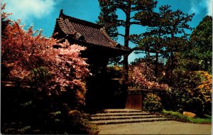 Oriental Tea Garden San Francisco California CA Golden Gate Park Postcard VTG 