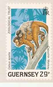 Animals. CApuchin Monkey Guernesey Post Office Stamp Card 1989