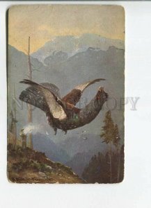 482167 MULLER Mueller HUNT Tetrao Capercaillie Wood Grouse Shooting Vintage #351