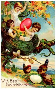 Children  Easter ,in birds nesty , chickens