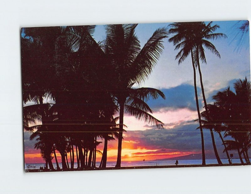 Postcard Beautiful Hawaiian Sunset Hawaii USA