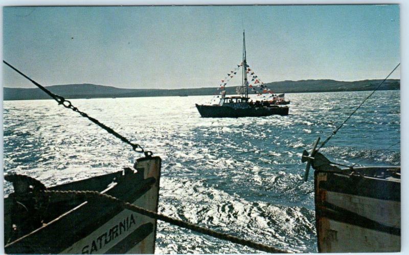 BODEGA BAY California CA Afternoon Lights Fishing Boat Sonoma County Postcard*