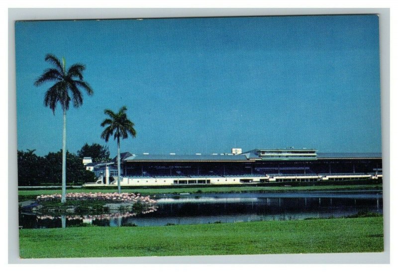 Vintage 1960's Postcard Clubhouse & Grandstands Hialeah Horse Race Track Florida