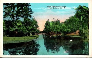 Louisiana New Orleans Swan Lake At City Park