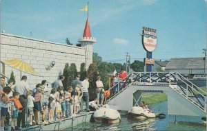 Postcard Dutch Wonderland Lancaster PA