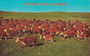 USA The Flint Hills Of Kansas Vintage Postcard 07.91