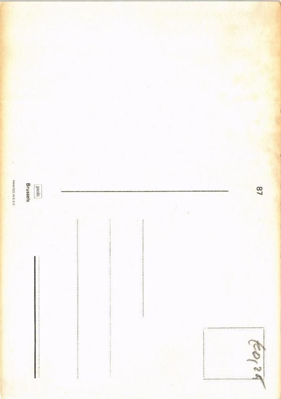 CPM Cairn terrier CHIEN (717228)