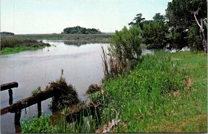 Vtg Darien Georgia GA Fort King George Lower Bluff Altamaha River Postcard