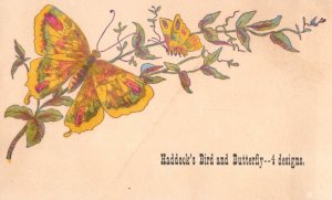 1870's Haddock's Bird & Butterfly 4 Victorian Trade Card Set F109